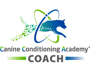 Cca logo coach